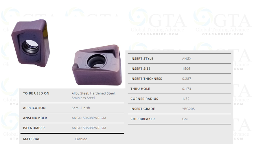 INSERTO ANGX 150608 PNR GM YBM253